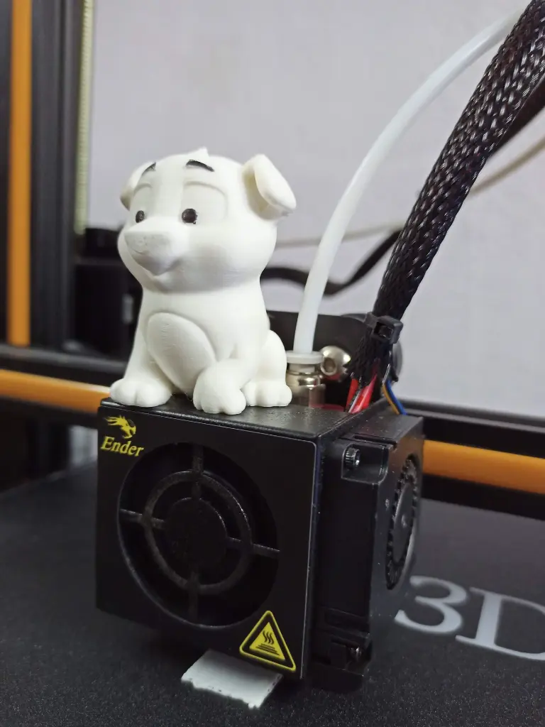 Cute Dog_1.webp