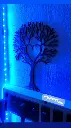 tree.webp