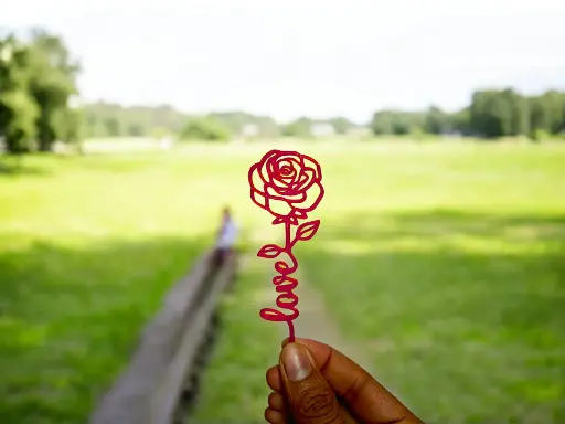 Red Rose with "Love"